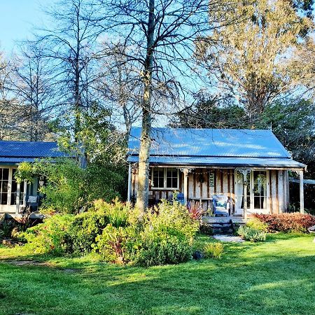 Bumblebee Cottage Greytown Exterior photo
