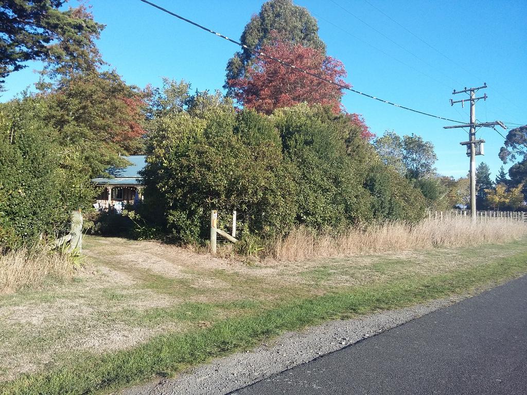 Bumblebee Cottage Greytown Exterior photo
